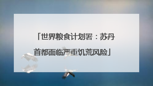 世界粮食计划署：苏丹首都面临严重饥荒风险