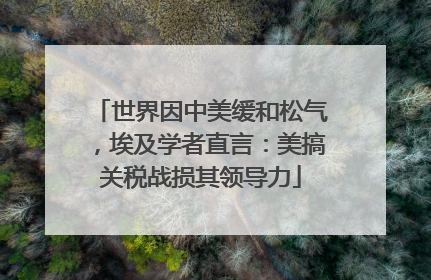 世界因中美缓和松气，埃及学者直言：美搞关税战损其领导力