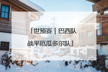 世预赛｜巴西队战平厄瓜多尔队