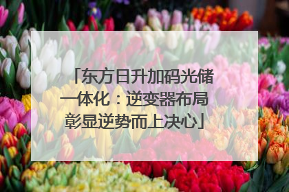 东方日升加码光储一体化：逆变器布局彰显逆势而上决心