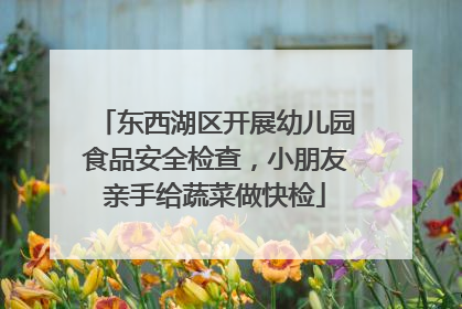 东西湖区开展幼儿园食品安全检查，小朋友亲手给蔬菜做快检