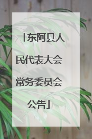 东阿县人民代表大会常务委员会公告