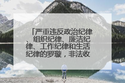 严重违反政治纪律、组织纪律、廉洁纪律、工作纪律和生活纪律的罗璇，非法收受他人巨额财物