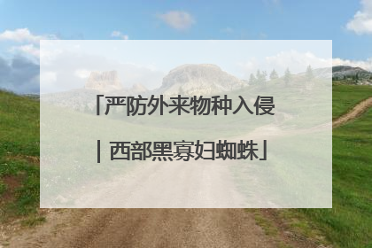 严防外来物种入侵｜西部黑寡妇蜘蛛