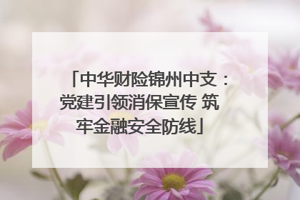 中华财险锦州中支：党建引领消保宣传 筑牢金融安全防线