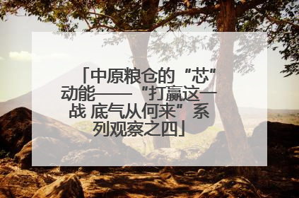 中原粮仓的“芯”动能——“打赢这一战 底气从何来”系列观察之四