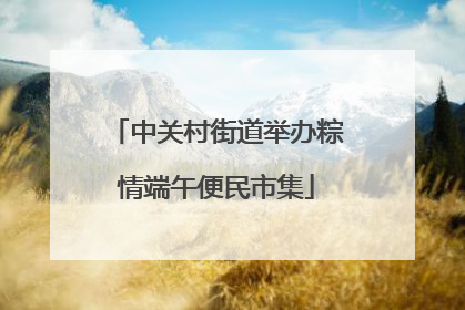 中关村街道举办粽情端午便民市集