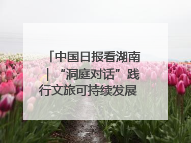 中国日报看湖南｜“洞庭对话”践行文旅可持续发展的生态之约
