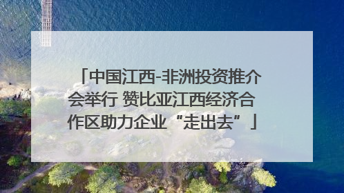 中国江西-非洲投资推介会举行 赞比亚江西经济合作区助力企业“走出去”