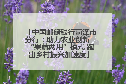 中国邮储银行菏泽市分行：助力农业创新 “果蔬两用”模式 跑出乡村振兴加速度