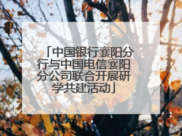 中国银行襄阳分行与中国电信襄阳分公司联合开展研学共建活动