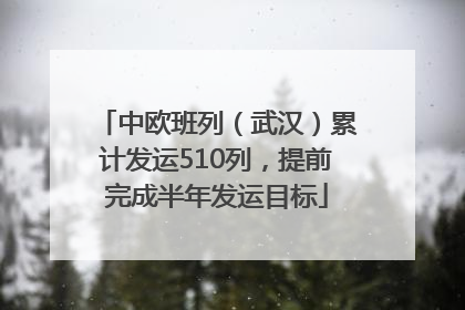 中欧班列（武汉）累计发运510列，提前完成半年发运目标