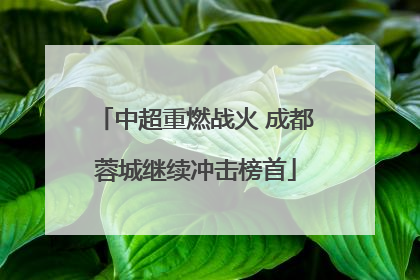 中超重燃战火 成都蓉城继续冲击榜首