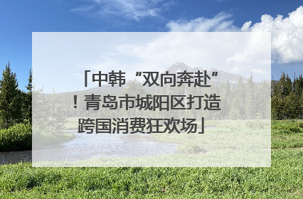 中韩“双向奔赴”！青岛市城阳区打造跨国消费狂欢场