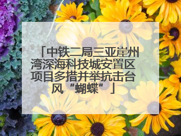 中铁二局三亚崖州湾深海科技城安置区项目多措并举抗击台风“蝴蝶”