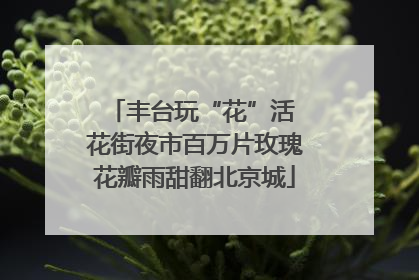 丰台玩“花”活 花街夜市百万片玫瑰花瓣雨甜翻北京城