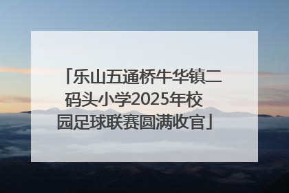 乐山五通桥牛华镇二码头小学2025年校园足球联赛圆满收官