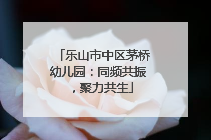 乐山市中区茅桥幼儿园：同频共振，聚力共生