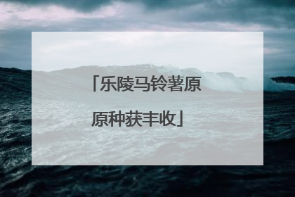 乐陵马铃薯原原种获丰收
