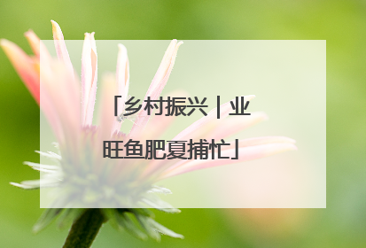 乡村振兴｜业旺鱼肥夏捕忙