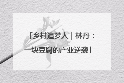 乡村追梦人｜林丹：一块豆腐的产业逆袭