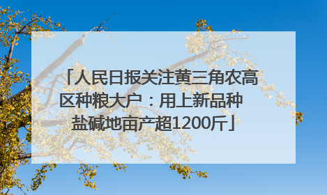 人民日报关注黄三角农高区种粮大户：用上新品种 盐碱地亩产超1200斤