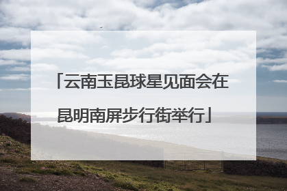 云南玉昆球星见面会在昆明南屏步行街举行