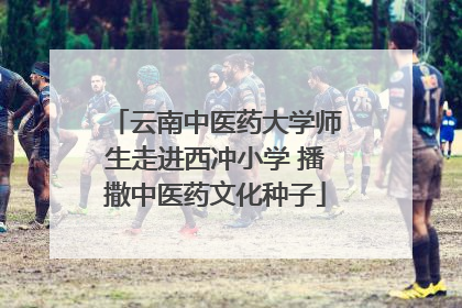 云南中医药大学师生走进西冲小学 播撒中医药文化种子