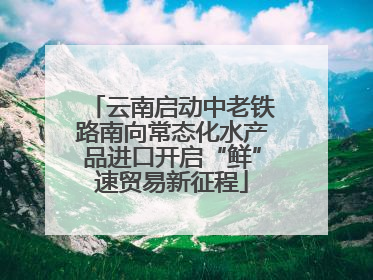 云南启动中老铁路南向常态化水产品进口开启“鲜”速贸易新征程