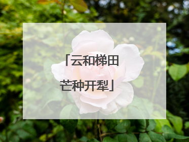 云和梯田 芒种开犁
