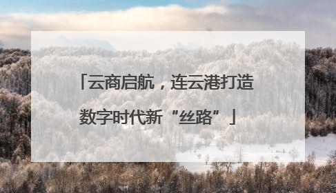 云商启航，连云港打造数字时代新“丝路”