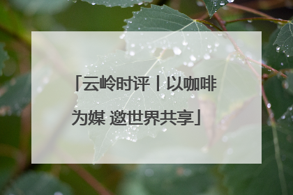 云岭时评丨以咖啡为媒 邀世界共享