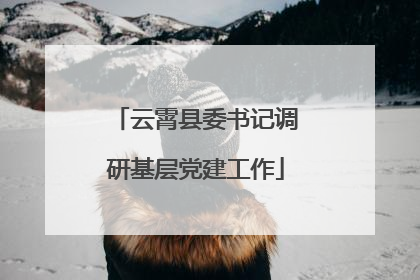云霄县委书记调研基层党建工作