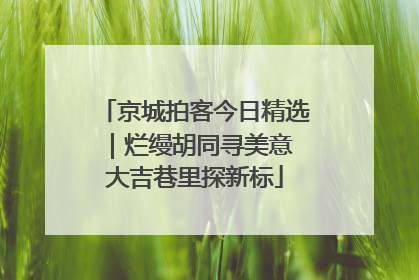 京城拍客今日精选｜烂缦胡同寻美意 大吉巷里探新标