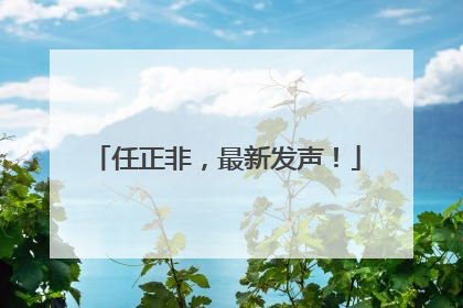 任正非，最新发声！