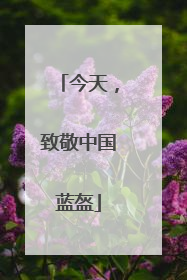 今天，致敬中国蓝盔