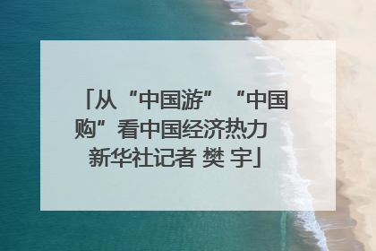 从“中国游”“中国购”看中国经济热力 新华社记者 樊 宇