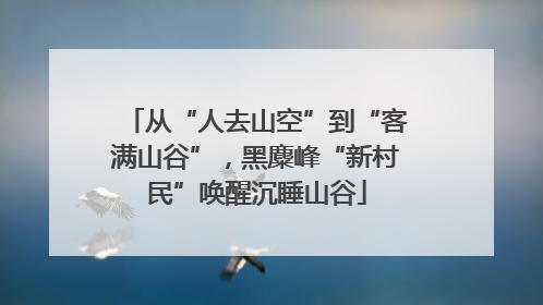 从“人去山空”到“客满山谷”，黑麋峰“新村民”唤醒沉睡山谷