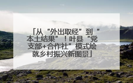 从“外出取经”到“本土结果”！叶县“党支部+合作社”模式绘就乡村振兴新图景