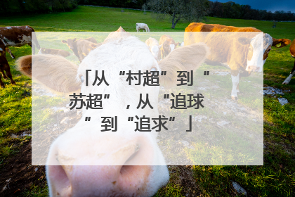 从“村超”到“苏超”，从“追球”到“追求”