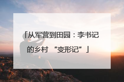 从军营到田园：李书记的乡村 “变形记”