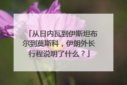 从日内瓦到伊斯坦布尔到莫斯科，伊朗外长行程说明了什么？