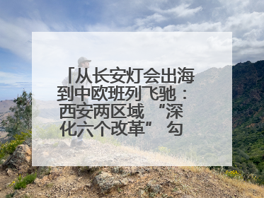 从长安灯会出海到中欧班列飞驰：西安两区域 “深化六个改革” 勾勒发展新画卷