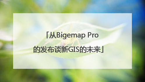 从Bigemap Pro的发布谈新GIS的未来