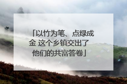 以竹为笔、点绿成金 这个乡镇交出了他们的共富答卷