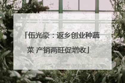 伍光豪：返乡创业种蔬菜 产销两旺促增收