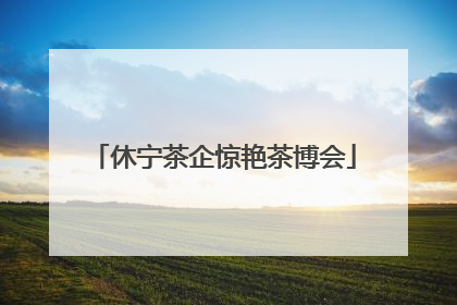 休宁茶企惊艳茶博会