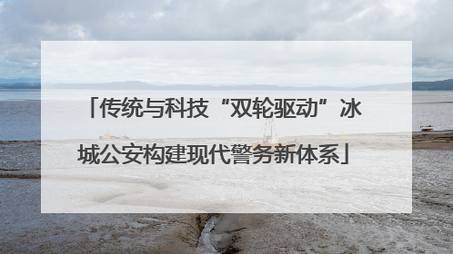 传统与科技“双轮驱动”冰城公安构建现代警务新体系