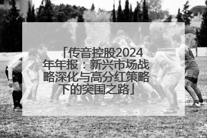 传音控股2024年年报：新兴市场战略深化与高分红策略下的突围之路