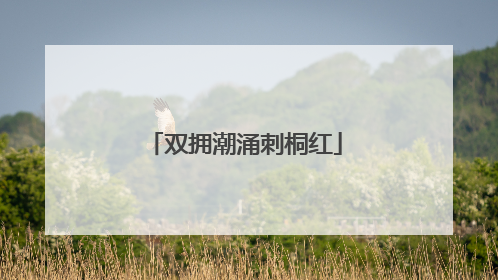 双拥潮涌刺桐红